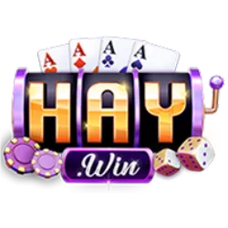 HAYWIN