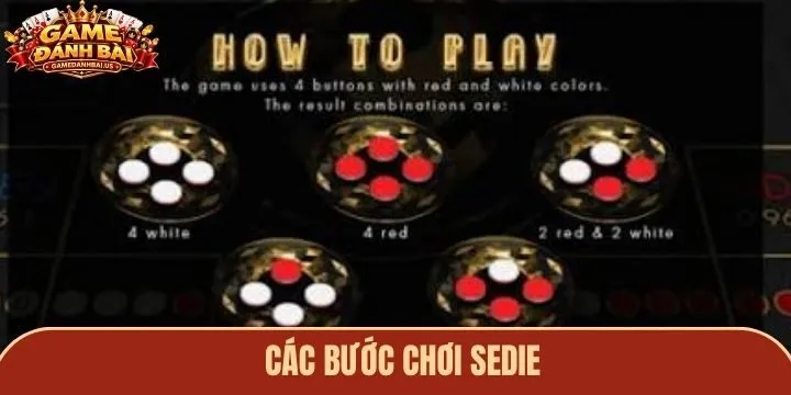 Các bước chơi Sedie cho người mới