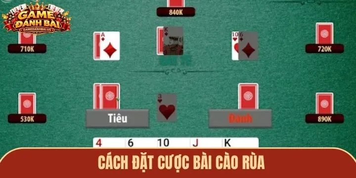 Hướng dẫn cách chơi bài cào rùa dễ hiểu dành cho newbie