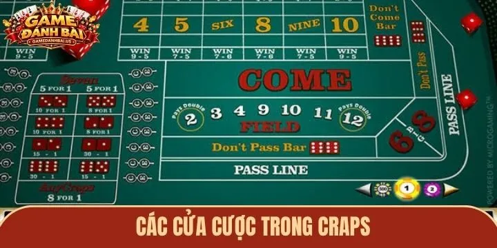 Các cửa cược game Craps người mới cần biết
