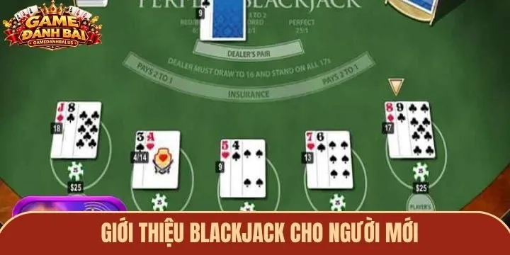 Review cho người mới về Blackjack trực tuyến