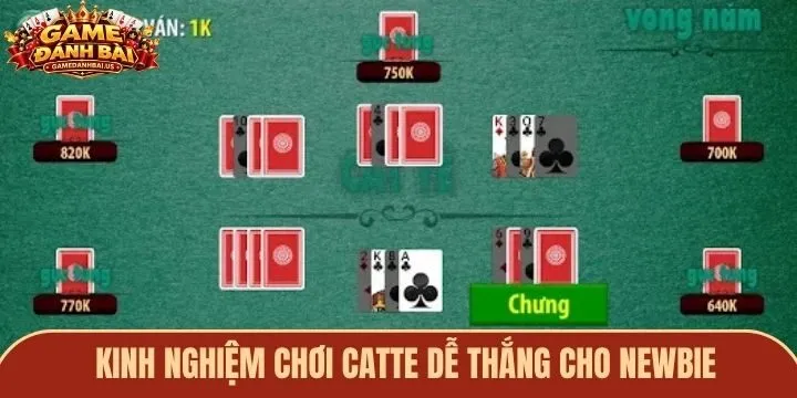 Kinh nghiệm chơi game bài Catte cho người mới tham gia
