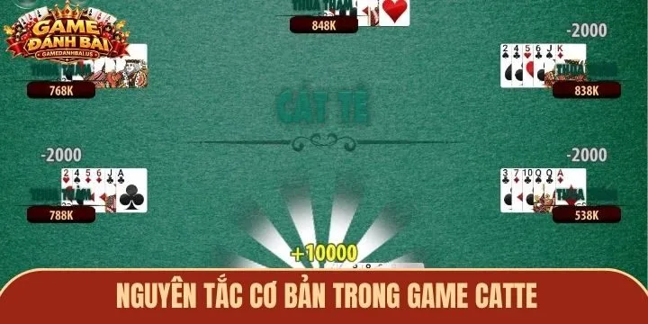 Nguyên tắc cơ bản trong luật chơi game Catte