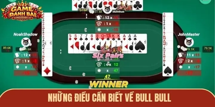 Những điều cần biết về Bull Bull