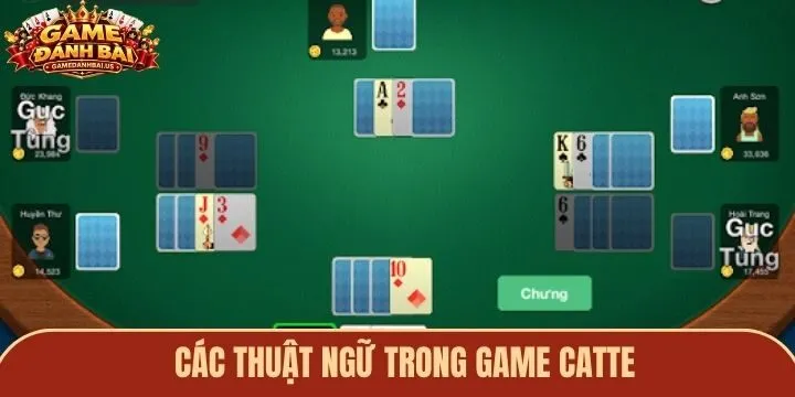 Hướng dẫn cách chơi Catte từ vòng đầu đến cuối
